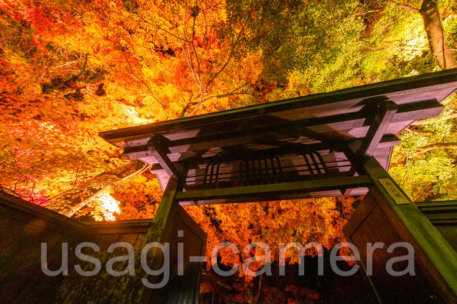 紅葉の武家屋敷