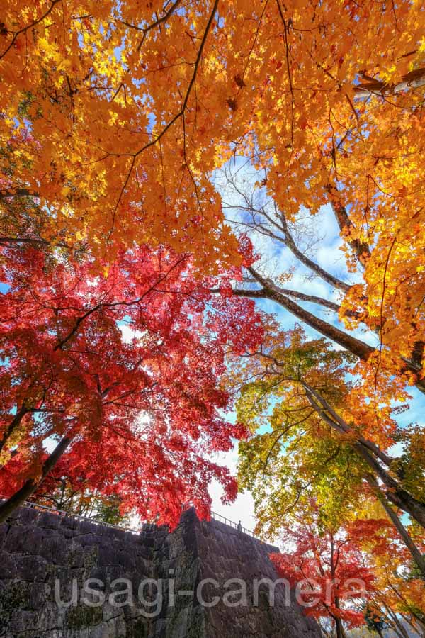 紅葉の盛岡城跡公園