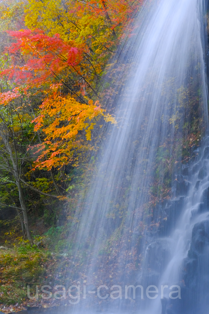 湯ノ又の滝の紅葉