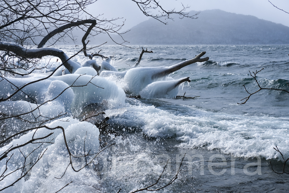 十和田湖の飛沫氷