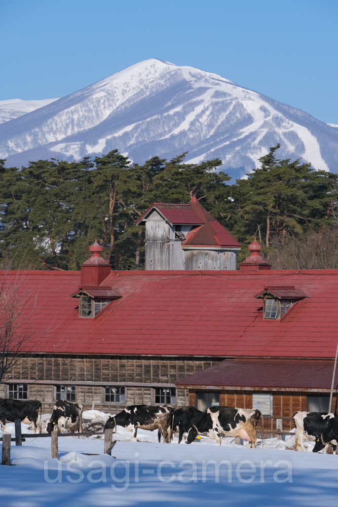 冬の小岩井農場