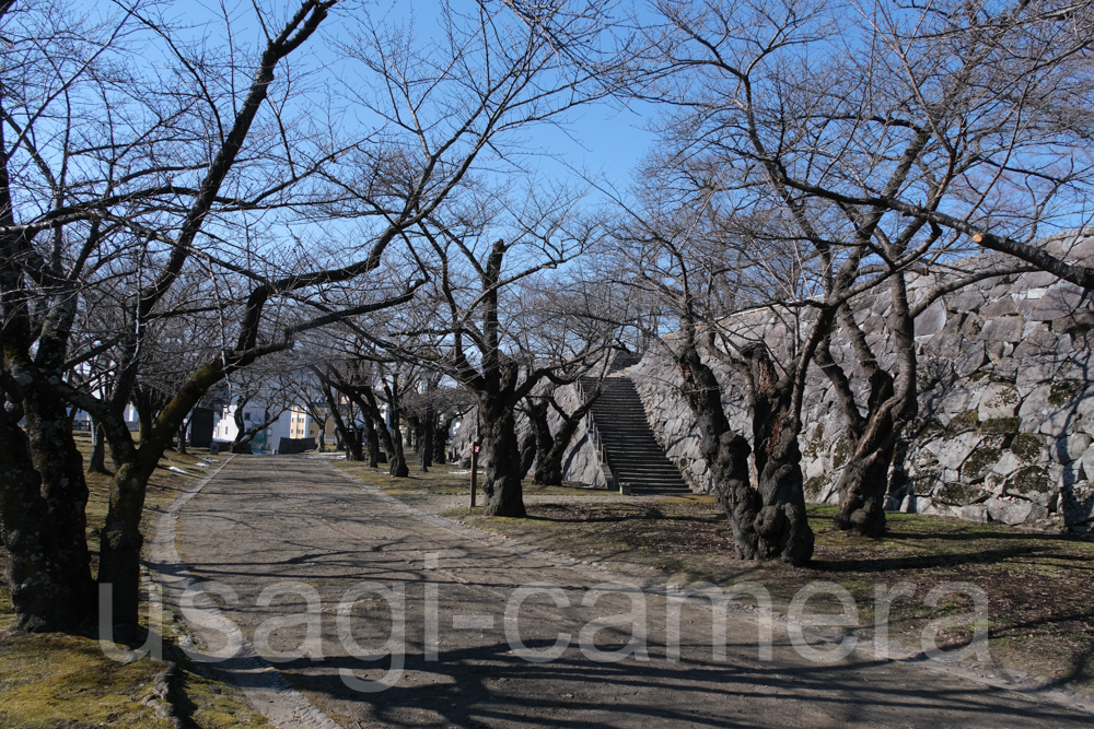 冬の岩手公園