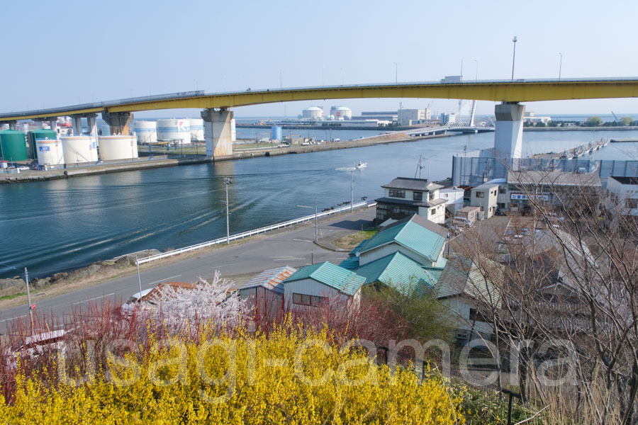 館鼻公園