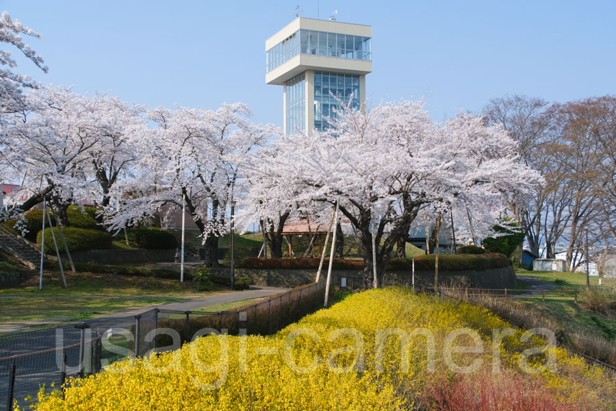 館鼻公園