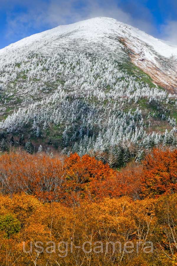 冠雪の八甲田