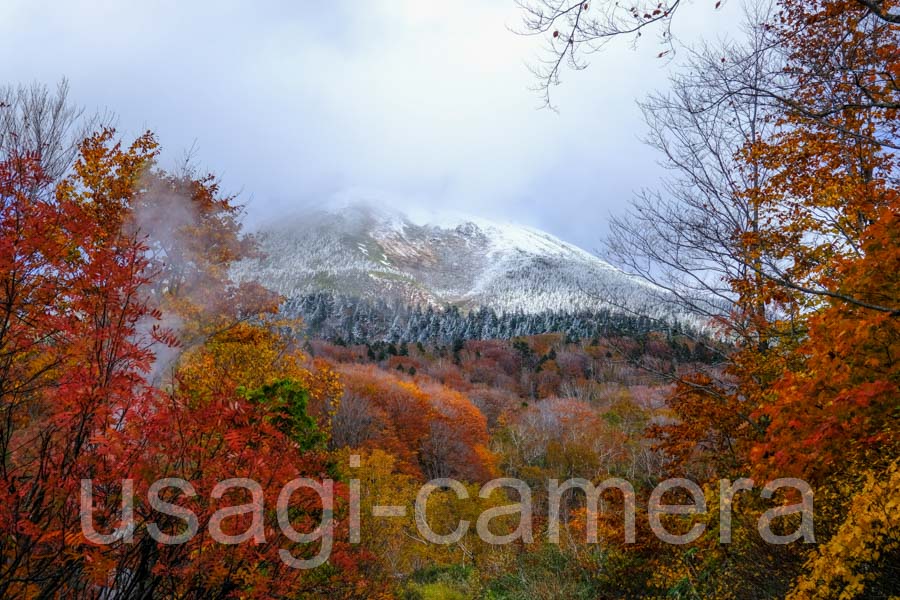 冠雪の八甲田