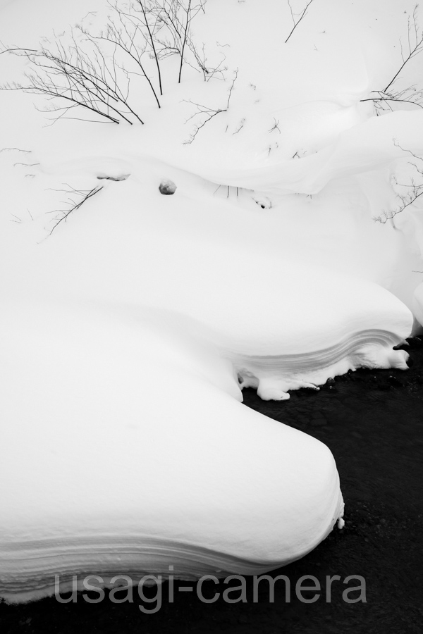 雪のモンスター