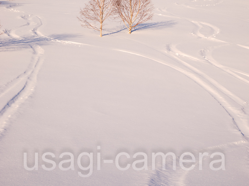 雪の八幡平