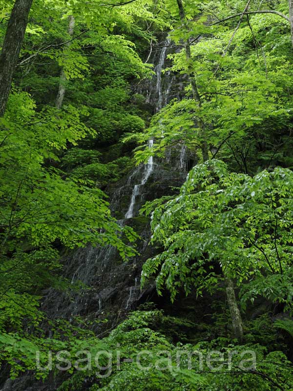 姉妹の滝（奥入瀬渓流）