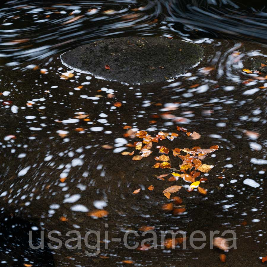 紅葉の小又峡