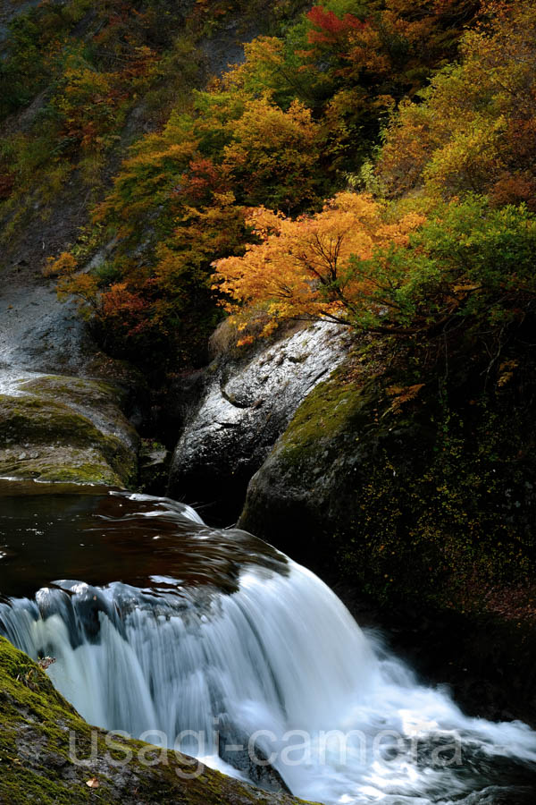 紅葉の小又峡