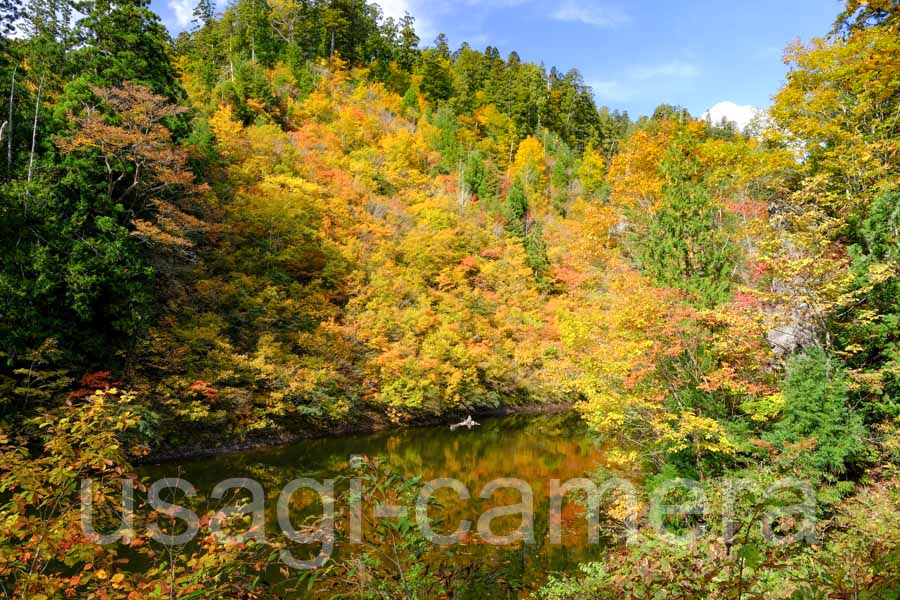 紅葉の小又峡