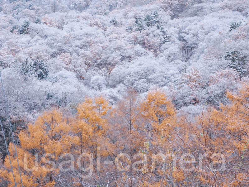 馬仙峡の紅葉